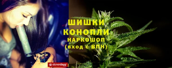 ALPHA-PVP Богородицк
