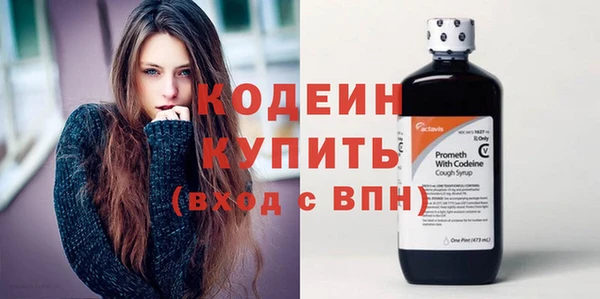 ГАЛЛЮЦИНОГЕННЫЕ ГРИБЫ Богданович