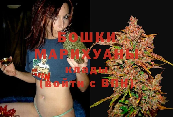 ALPHA-PVP Богородицк