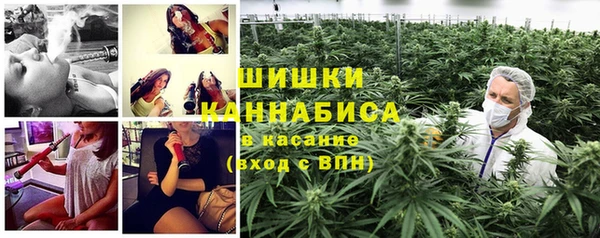 первитин Богородск