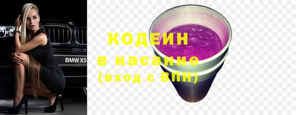 ГАЛЛЮЦИНОГЕННЫЕ ГРИБЫ Богданович