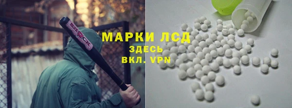 ГАЛЛЮЦИНОГЕННЫЕ ГРИБЫ Богданович