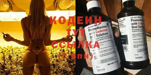 ГАЛЛЮЦИНОГЕННЫЕ ГРИБЫ Богданович