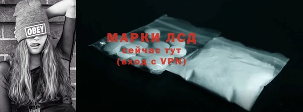 ГАЛЛЮЦИНОГЕННЫЕ ГРИБЫ Богданович