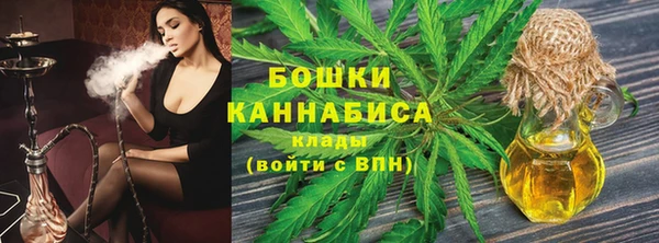 ГАЛЛЮЦИНОГЕННЫЕ ГРИБЫ Богданович