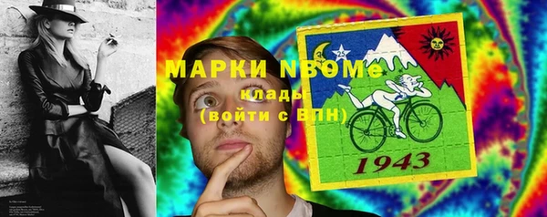 ГАЛЛЮЦИНОГЕННЫЕ ГРИБЫ Богданович