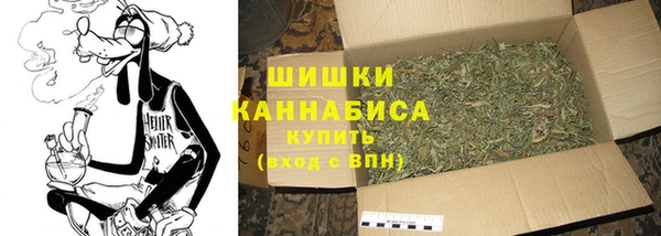 ГАЛЛЮЦИНОГЕННЫЕ ГРИБЫ Богданович